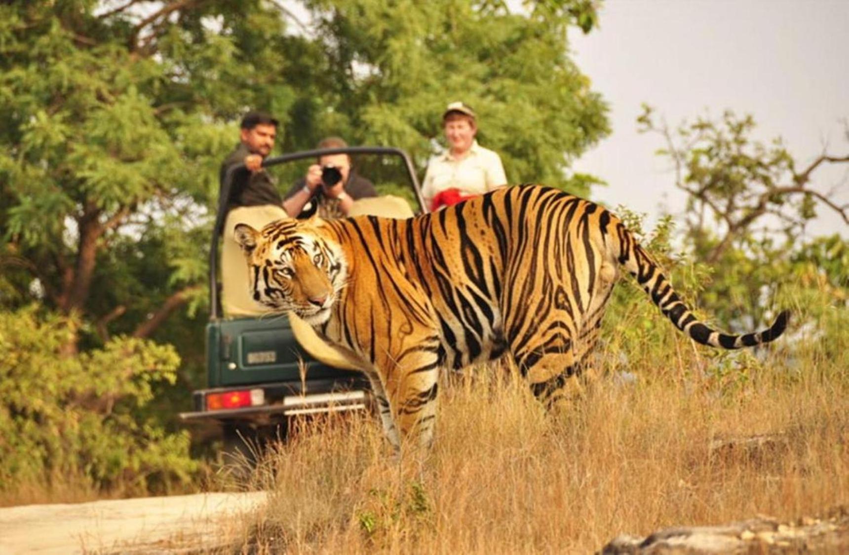 The Vanashrya Ranthambore Ξενοδοχείο Khilchīpur Εξωτερικό φωτογραφία